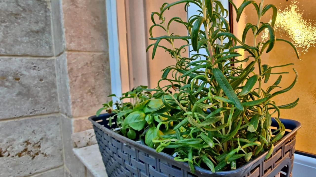 אשדוד Primrose Boutique Apartment מראה חיצוני תמונה