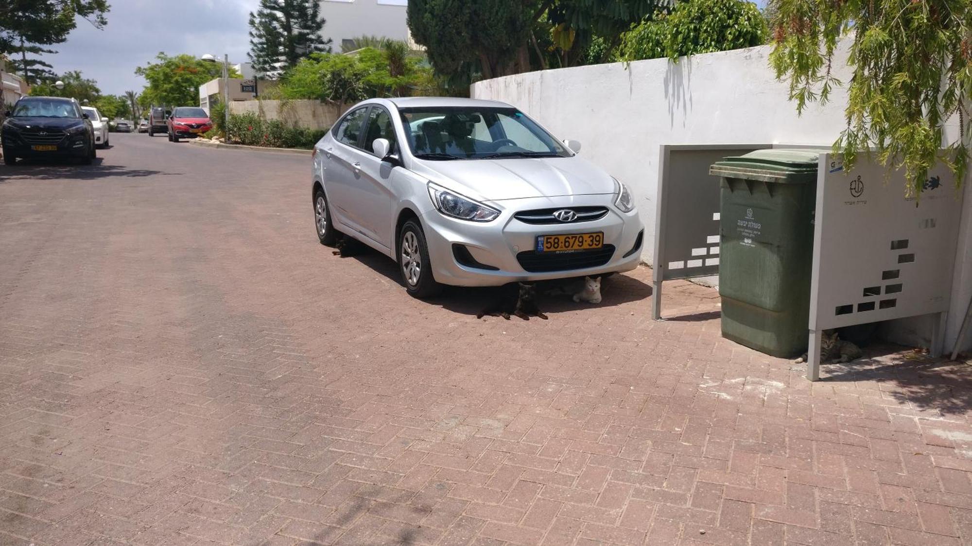 אשדוד Primrose Boutique Apartment מראה חיצוני תמונה